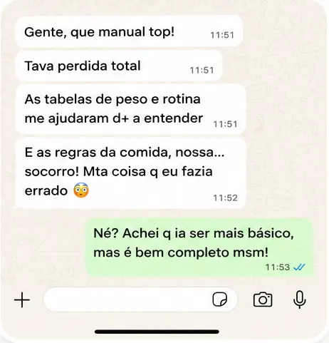 Conversa ilustrativa 2
